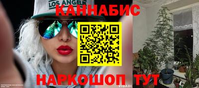 прущая мука Гусев
