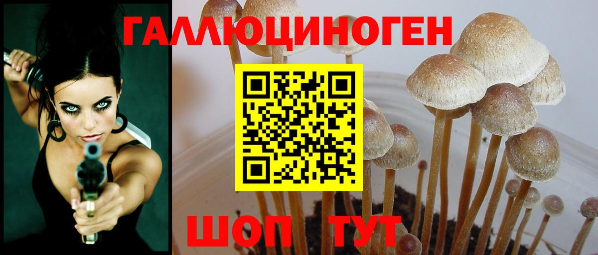 Орёл  Псилоцибиновые грибы мицелий  Вход с VPN 
